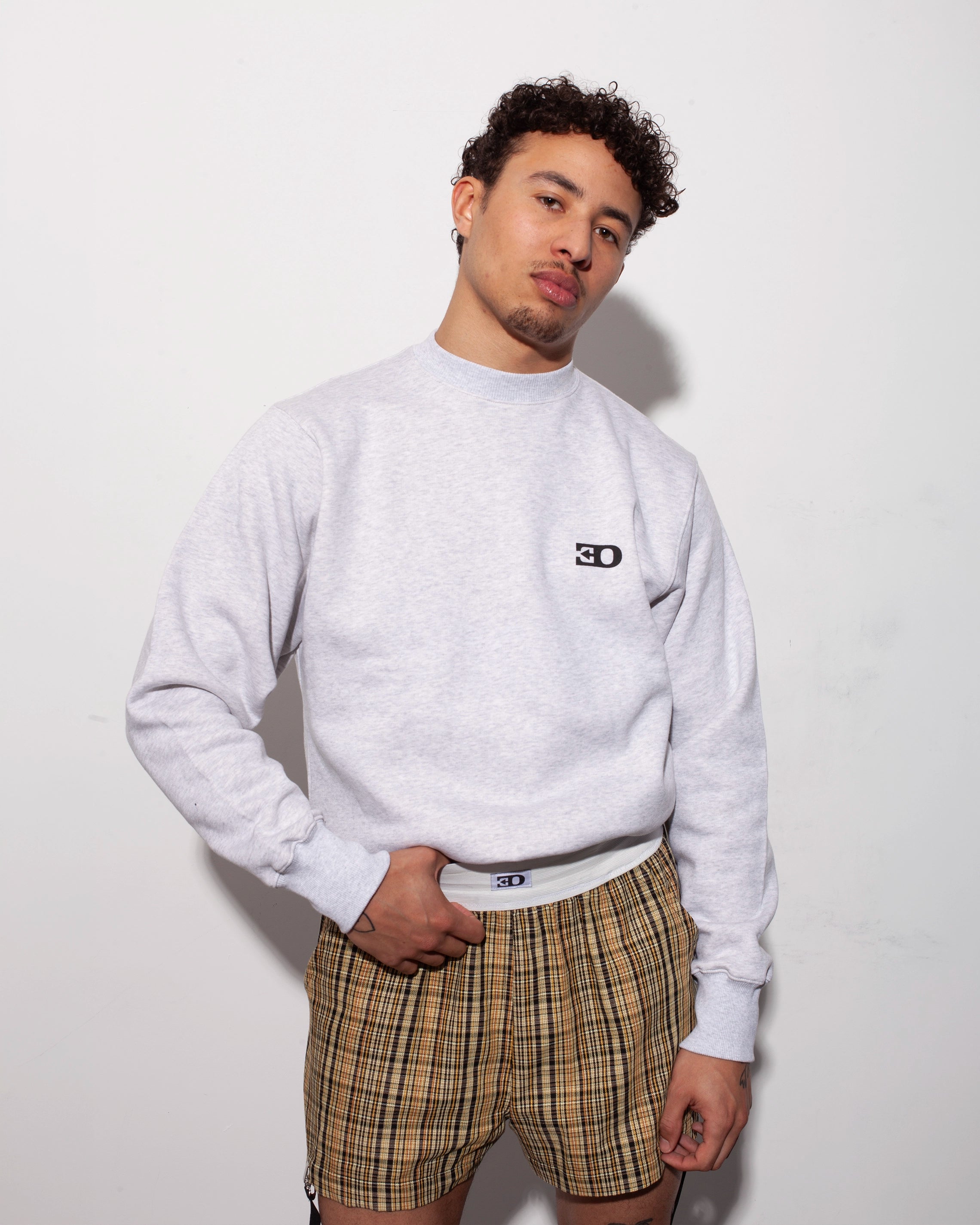 THE LOGO CREWNECK IN HEATHER GREY BRUSHED